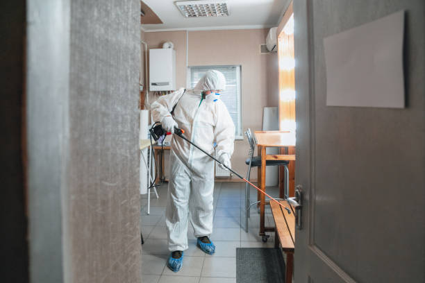 Best Post-Remediation Verification Testing  in Granville, WV