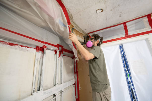 Best Comprehensive Air Testing for Mold Contaminants  in Granville, WV