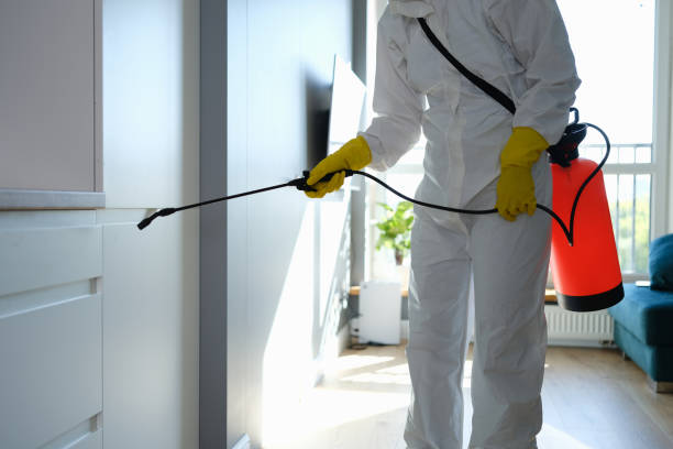 Best Real Estate Mold Inspection  in Granville, WV