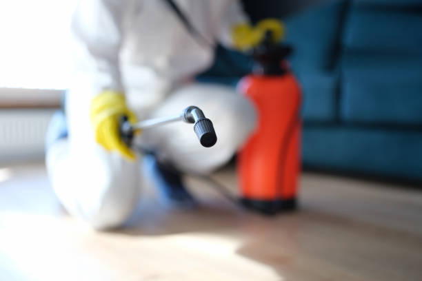 Best Forensic Mold Investigation  in Granville, WV